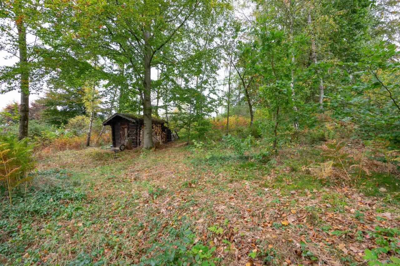 Au Ptit Bois Charmant La-Roche-en-Ardenne Eksteriør bilde